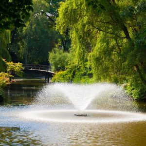 Lake & Pond Fountains