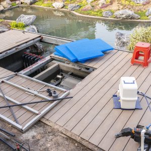 Pond Filtration