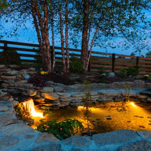 Pond Lights